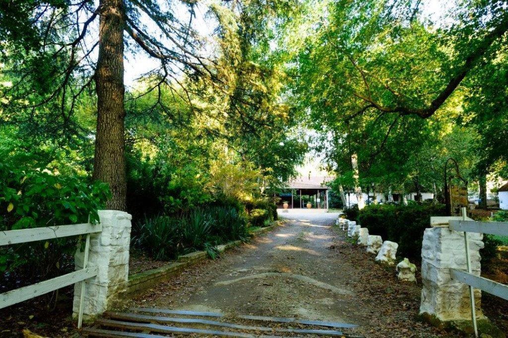 Kings Lodge Hotel Хогсбэк Экстерьер фото